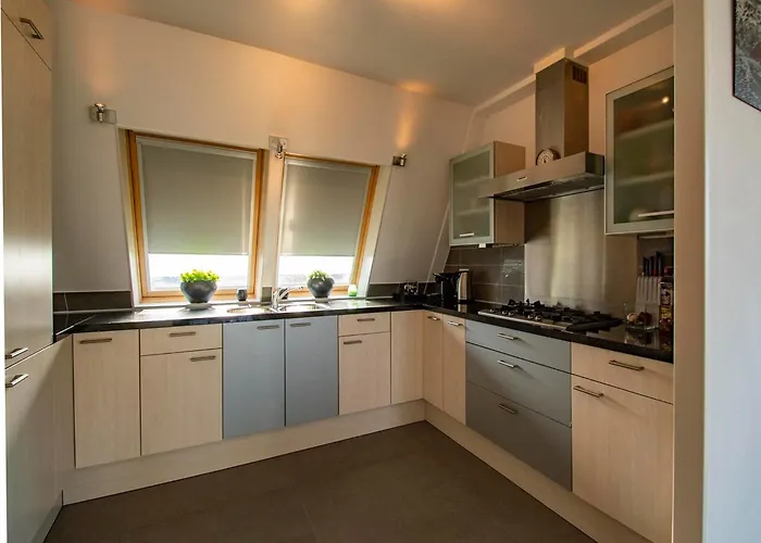 Vakantiehuis Penthouse By Groote Keeten Dunes With Sauna